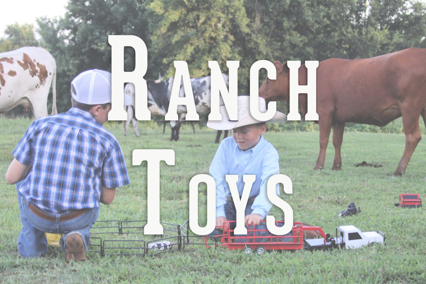 ranch lifestyle toys