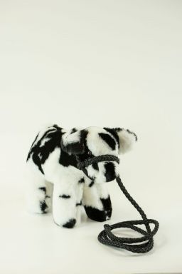 Medium Plush Calf Blue Roan Shorthorn