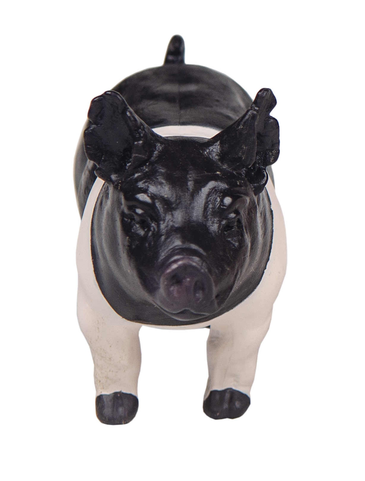 Discover The Untapped Wealth Of Hampshire Pig Farming - sxb9q7e