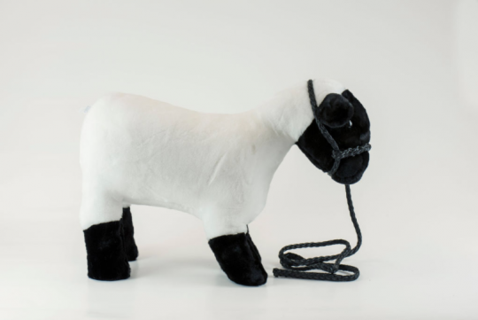 plushlamb