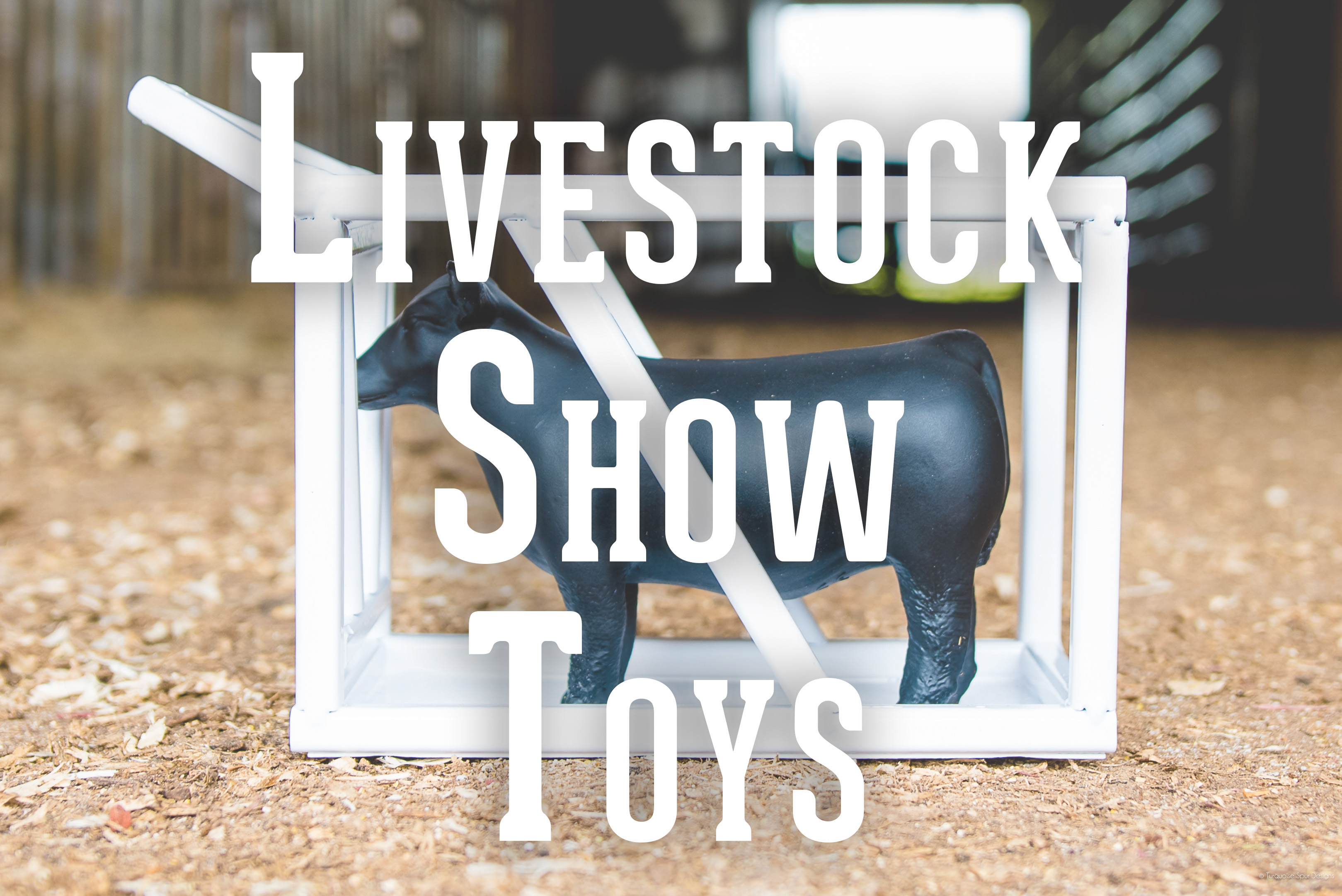 little buster cows